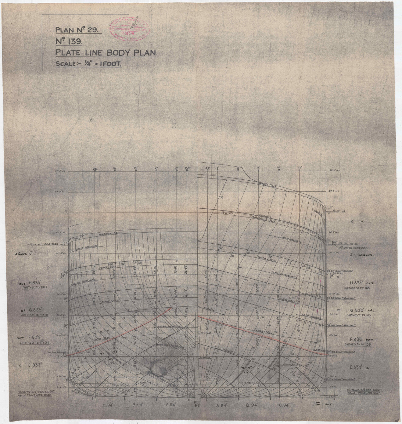 [TEV Maori], plate line body plan