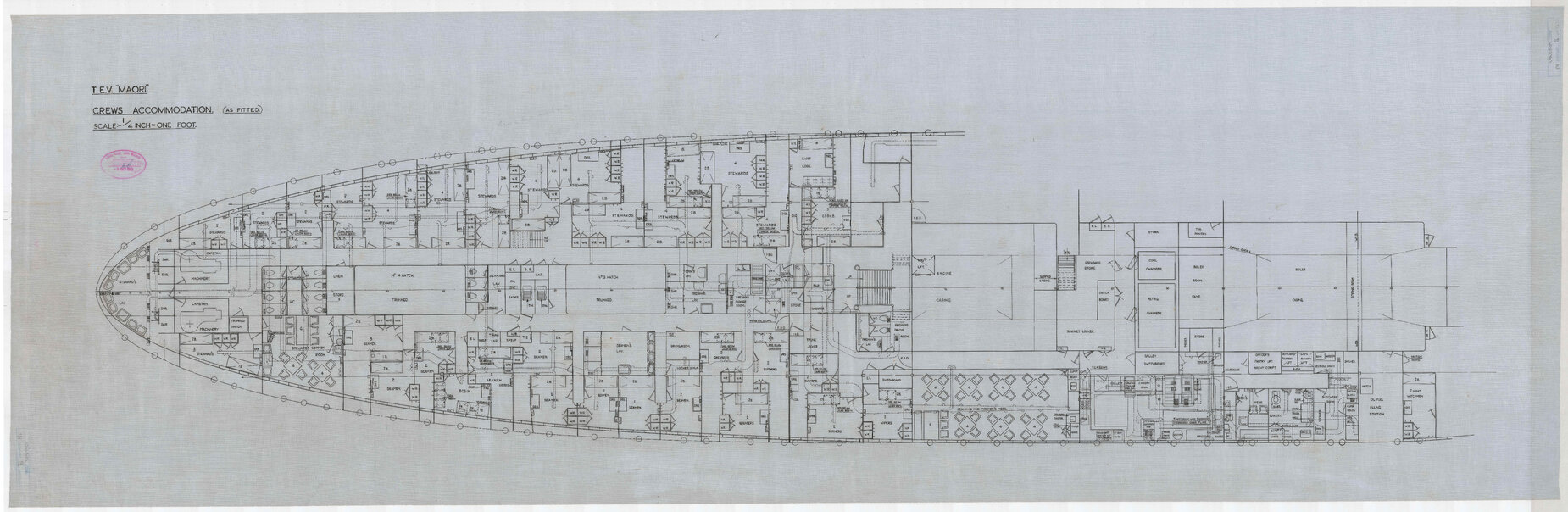 TEV Maori, crews accomodation (as fitted)