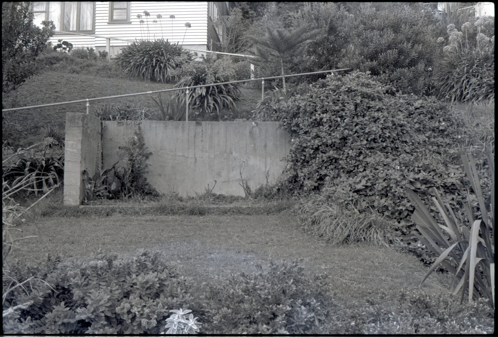 8 Walden Street: front yard prior sewer work