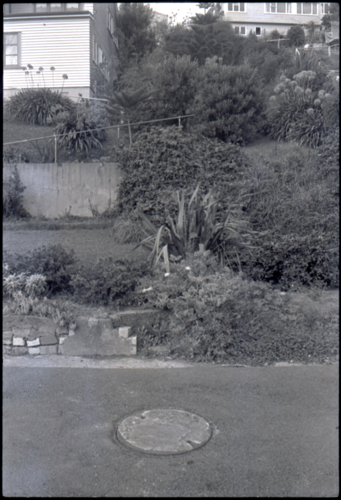 8 Walden Street: front yard prior sewer work