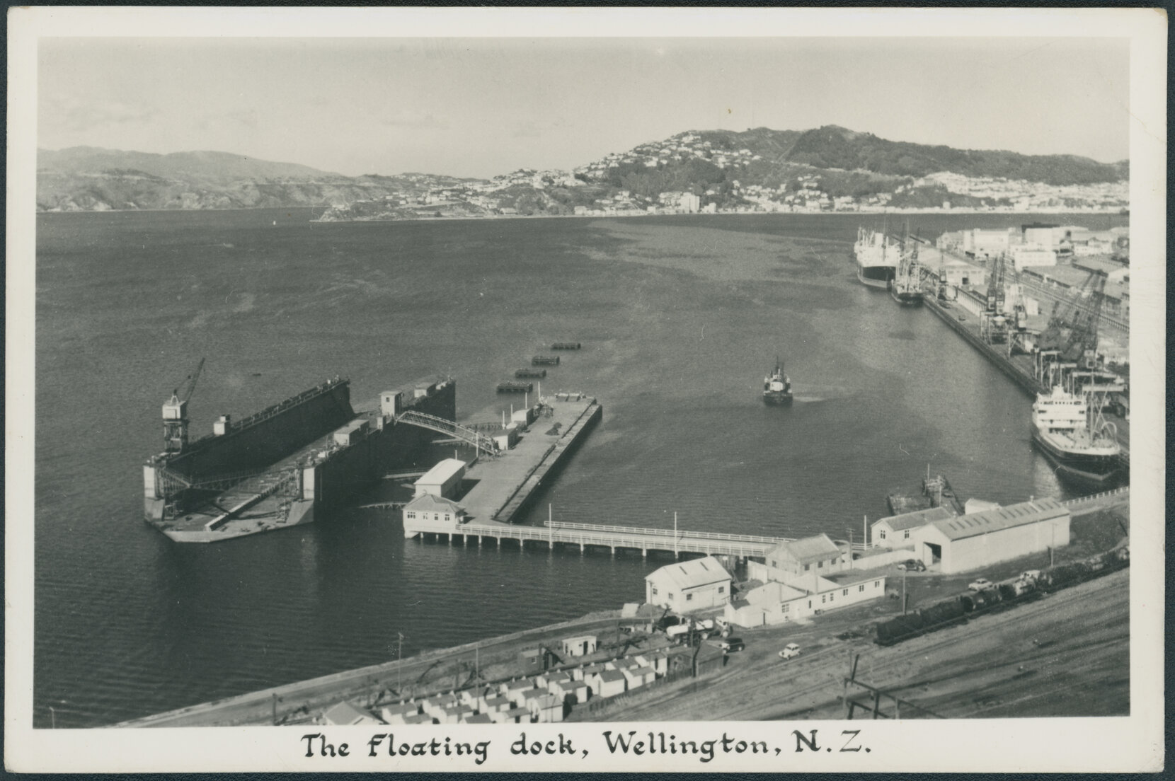 The floating dock, Wellington