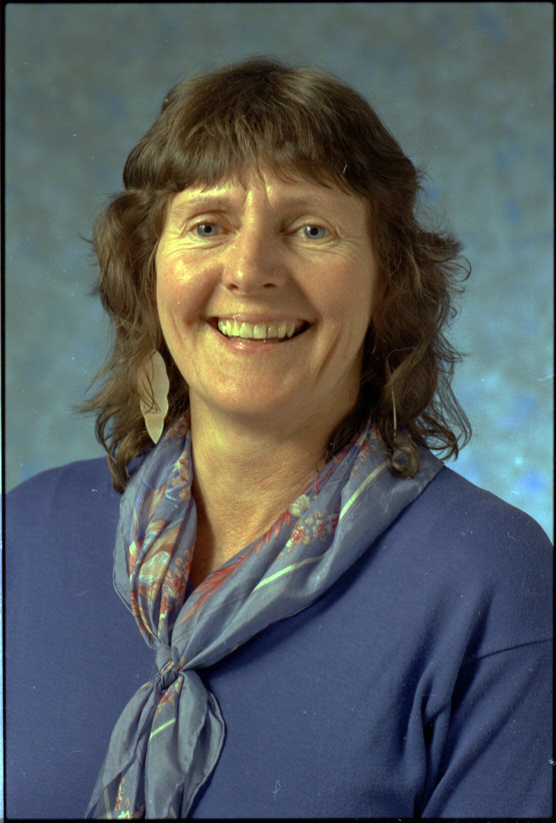 Liz Thomas, Councillor