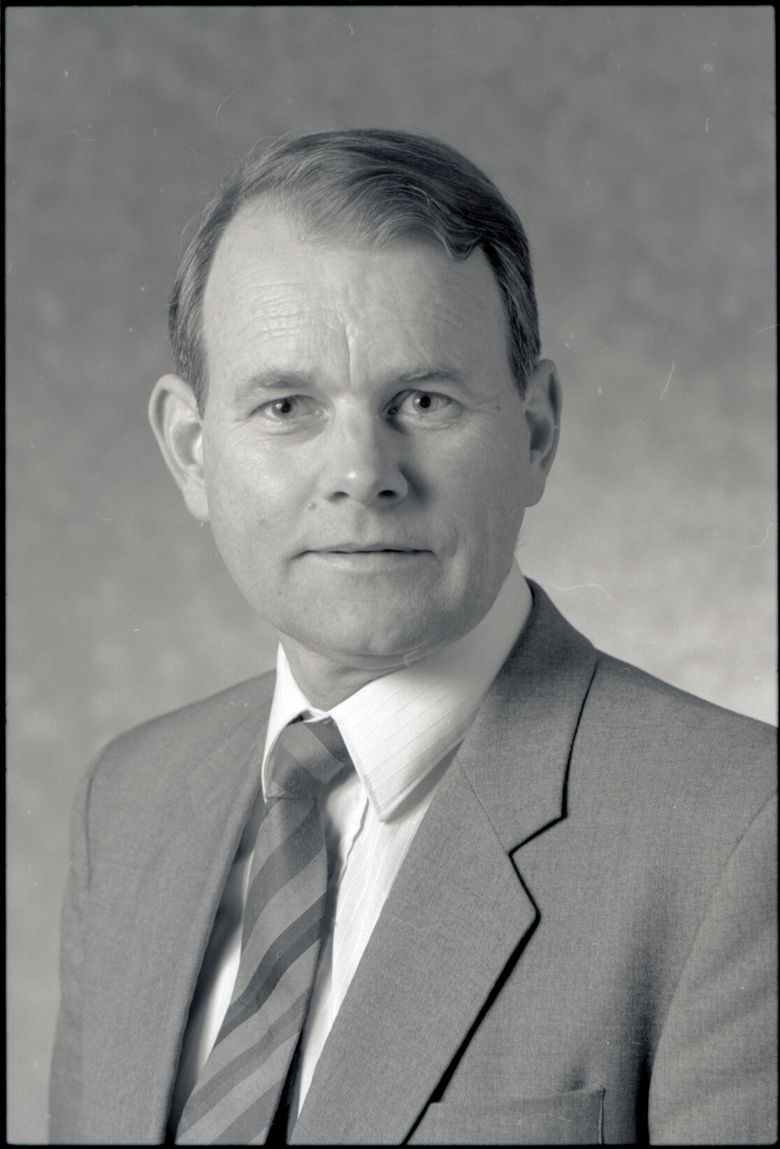Ian Hutchings, Councillor