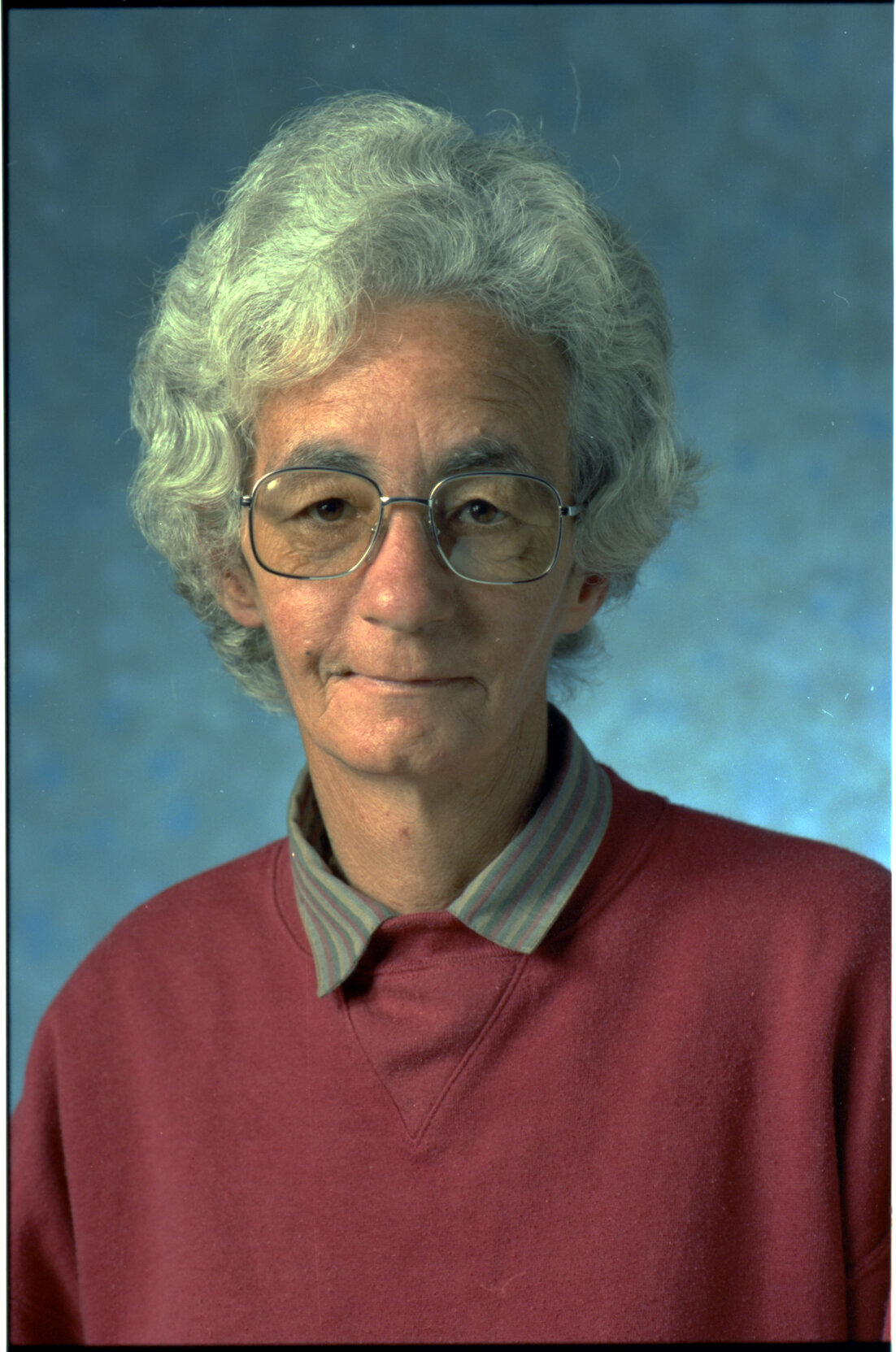 Sarah Lysaght, Councillor