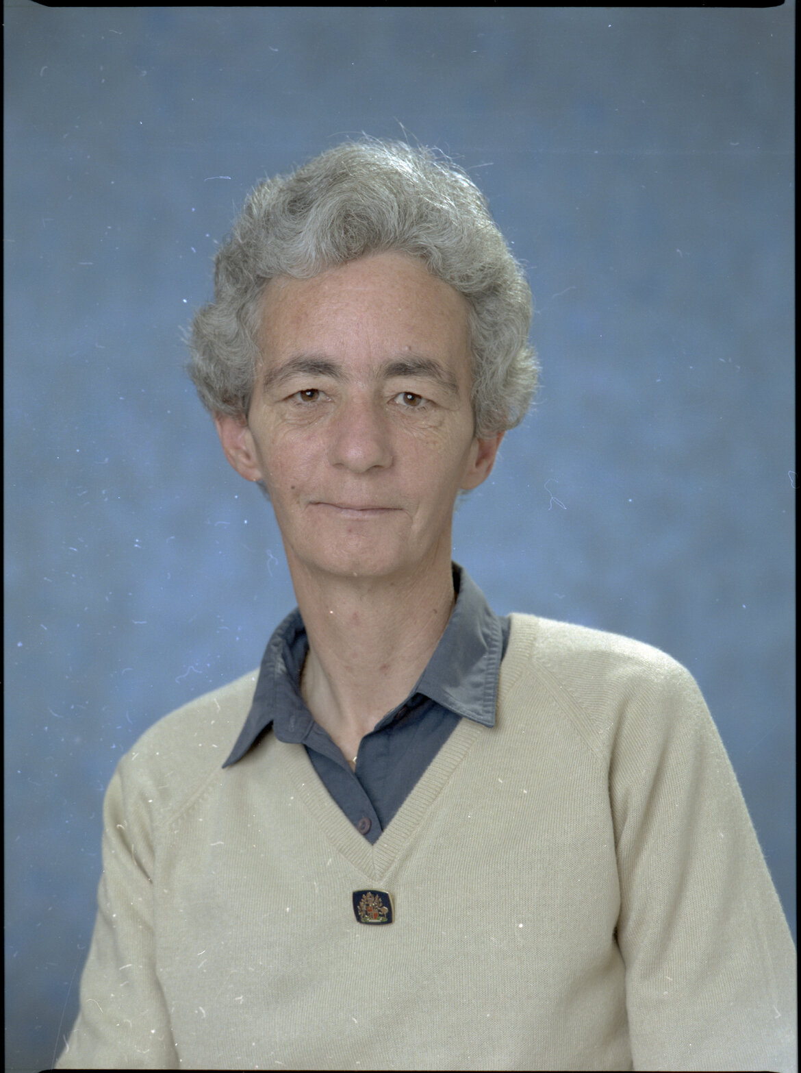 Sarah Lysaght, Councillor