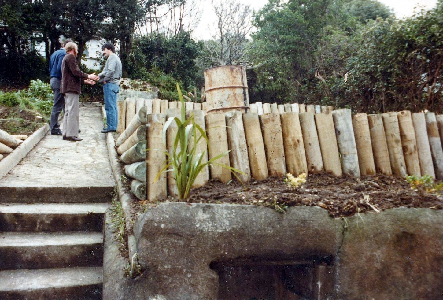 Back yard of Brooklyn Resource Centre