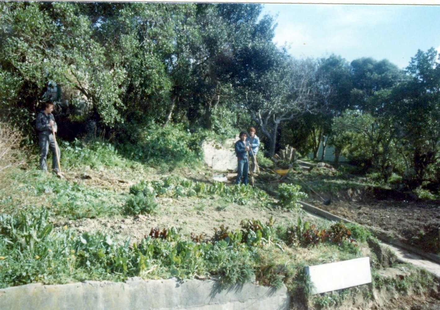 Back yard of Brooklyn Resource Centre
