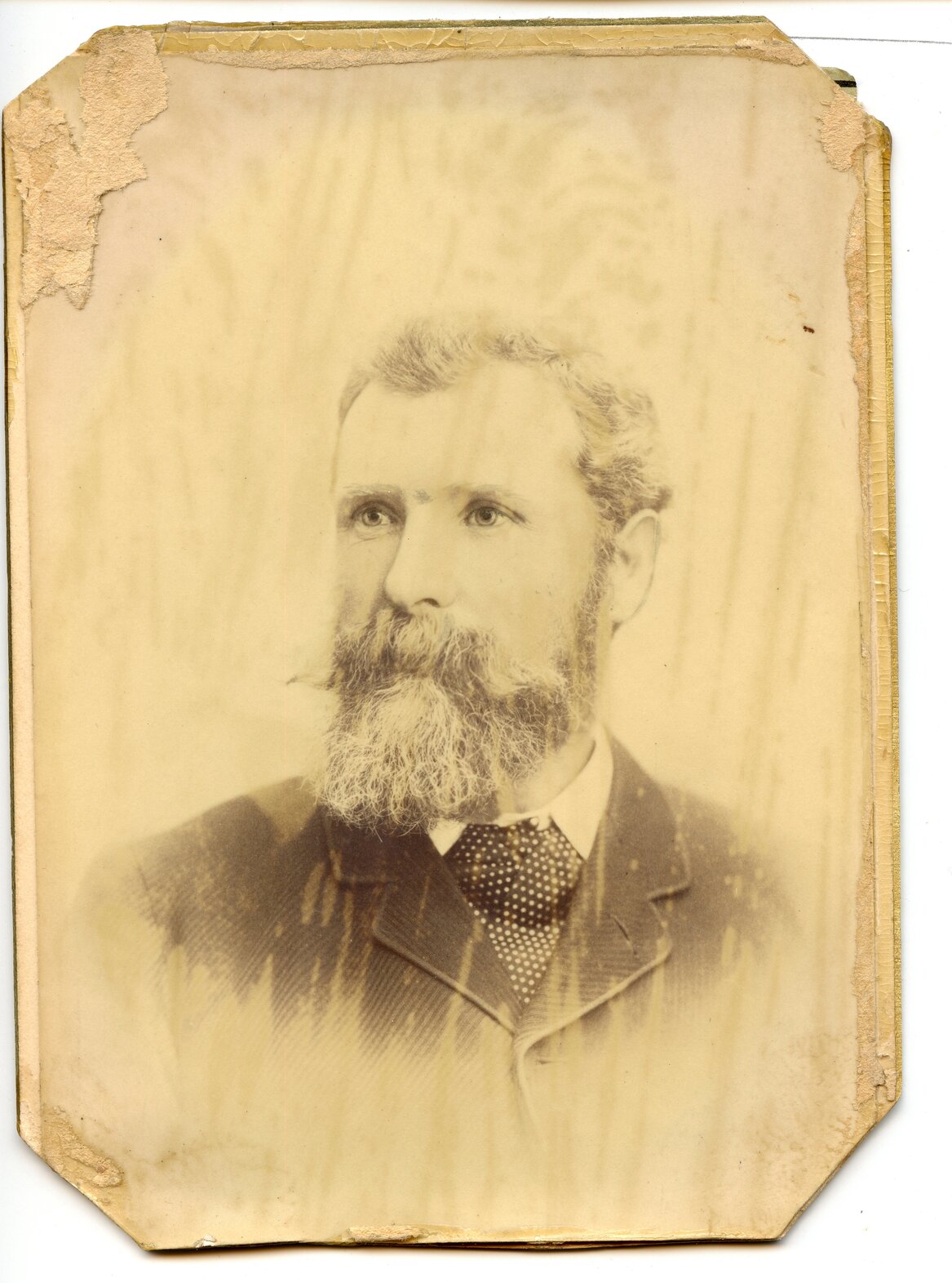 Portrait of unidentified Councillor