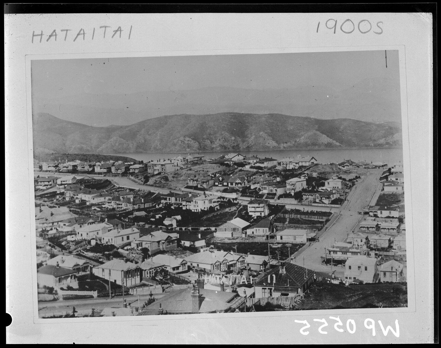 Elevated view of Hataitai