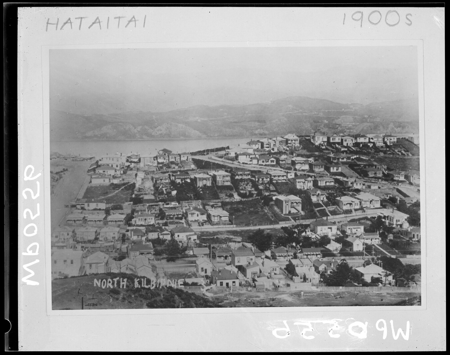 Elevated view of Hataitai, south Kilbirnie