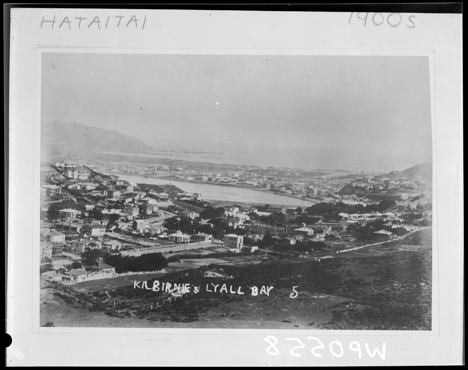 Elevated view of Hataitai, south Kilbirnie