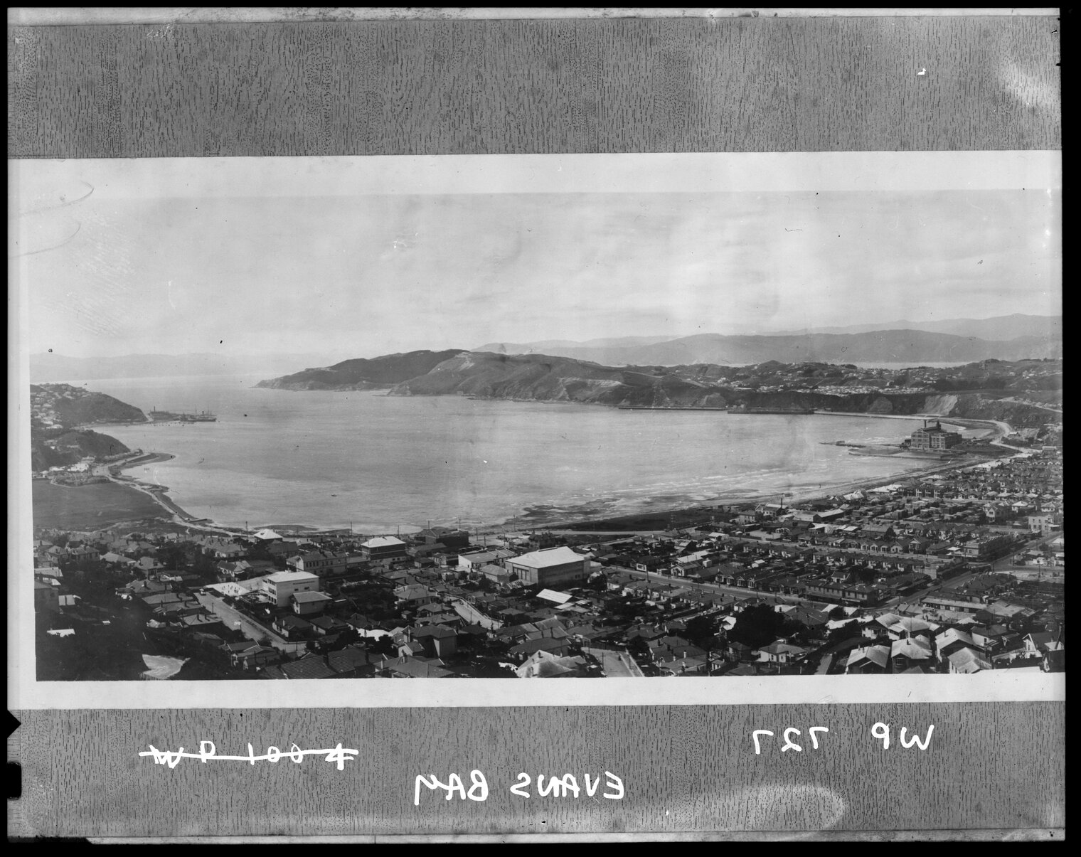 Elevated view of Evans Bay