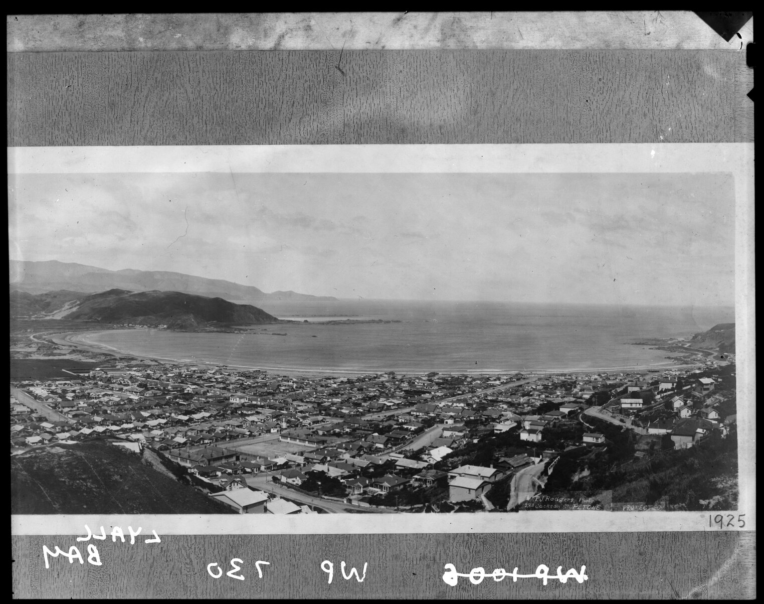 Elevated view of Lyall Bay