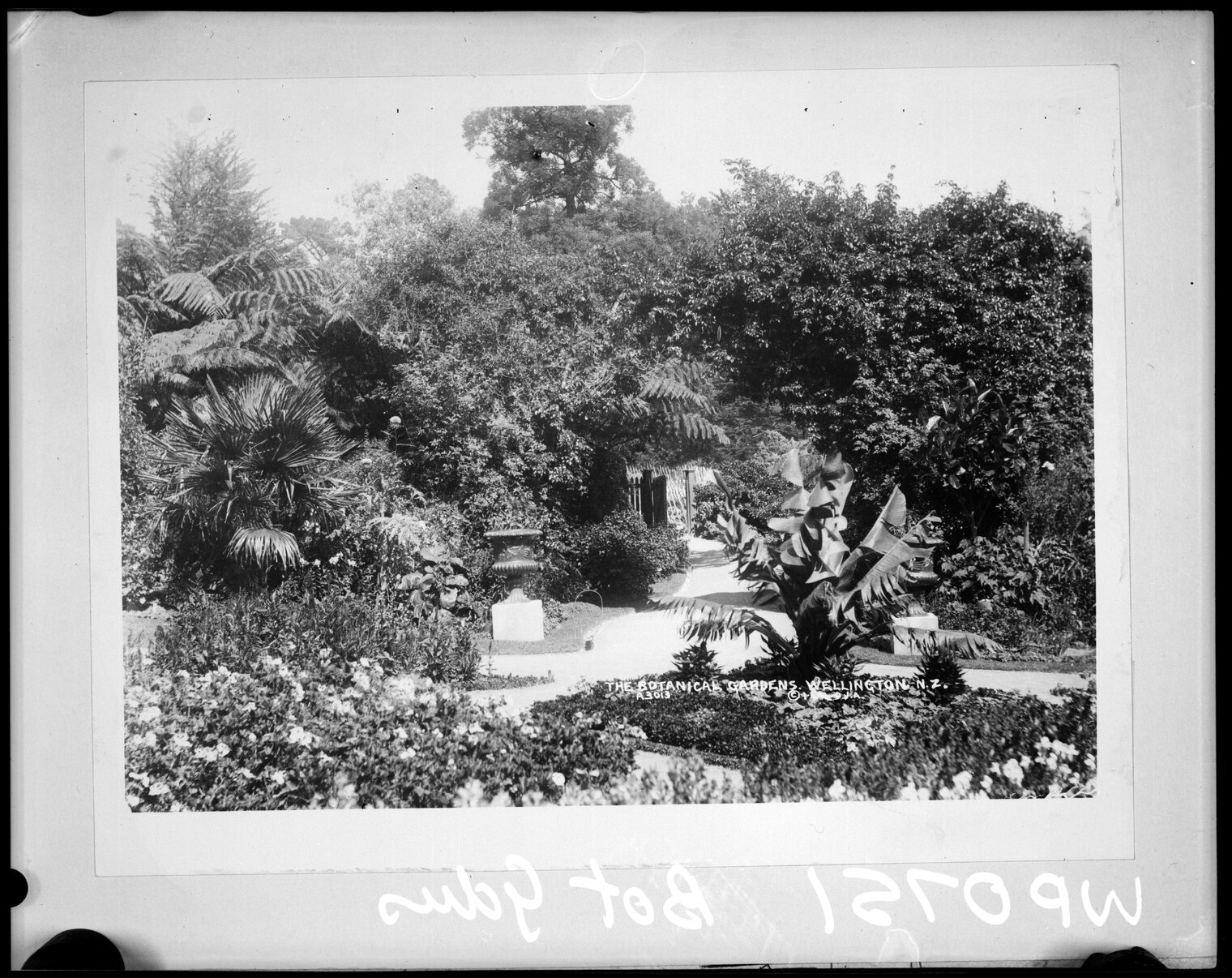 Botanic Garden. A3013