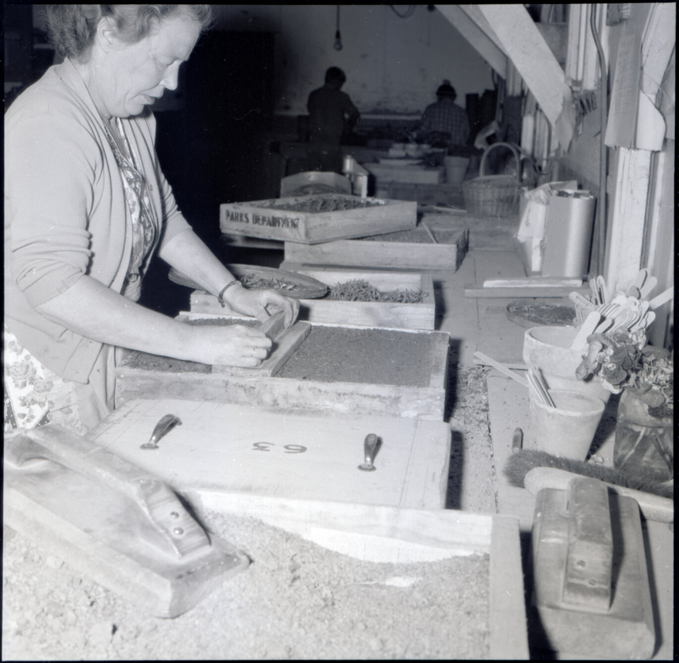 p. Berhampore Nursery, potting shed, staff potting seedlings
