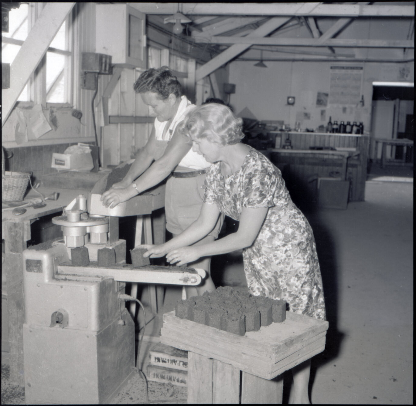 z. Berhampore Nursery, potting shed, staff potting seedlings