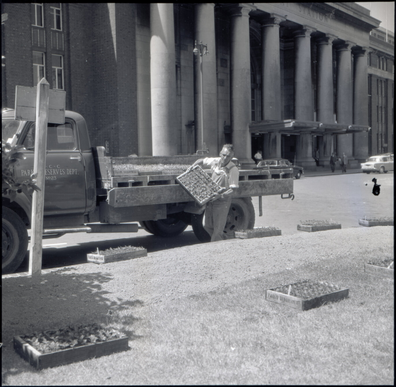 u. Parks and Reserve Department staff delivering plants to Wellington Railway Station