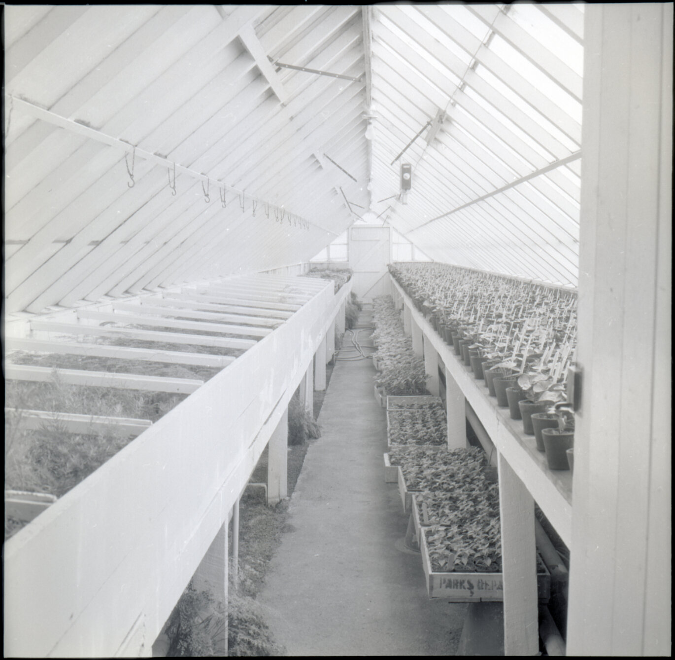f. Berhampore Nursery, glass house