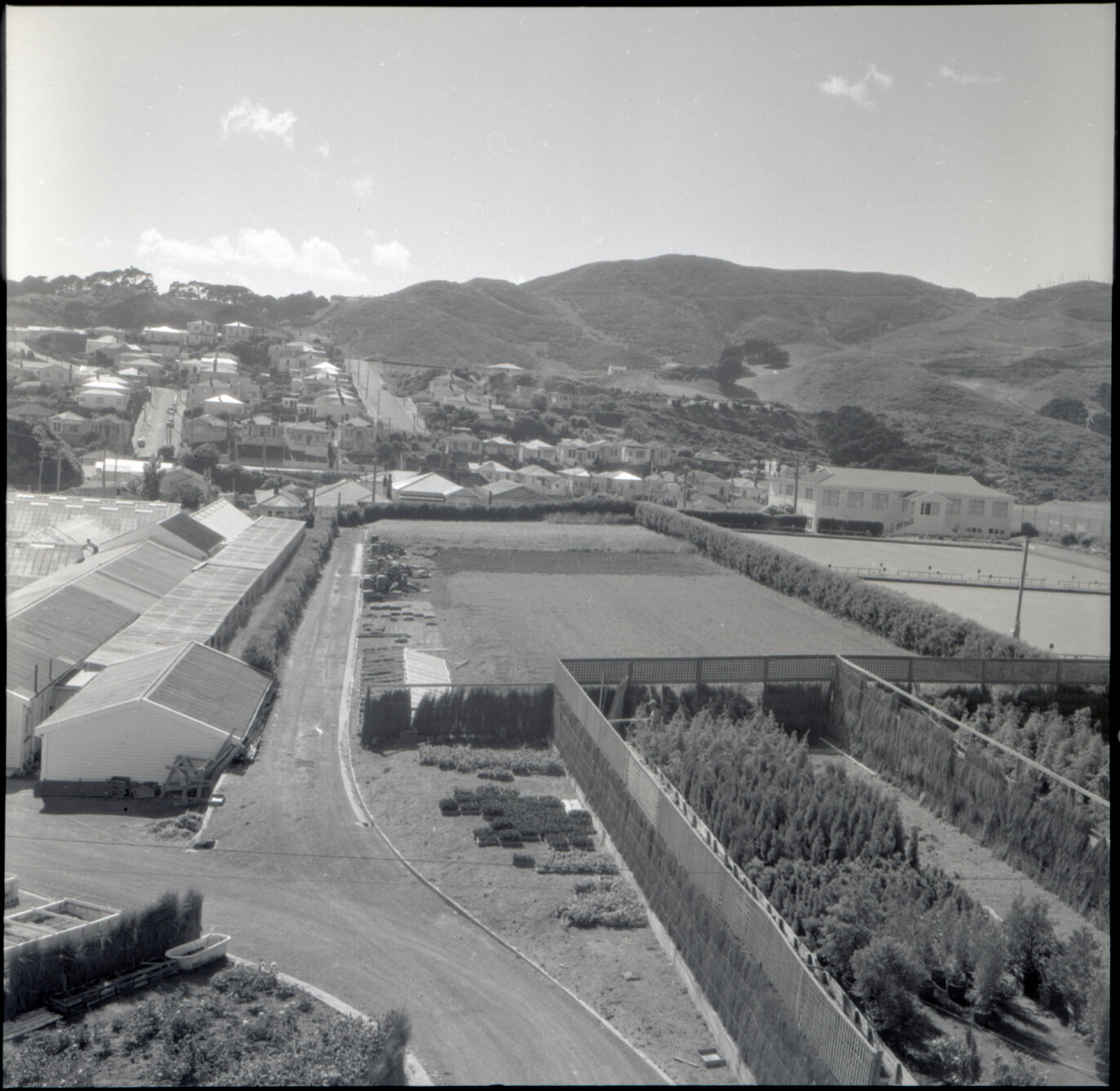 j. Berhampore Nursery, gardens
