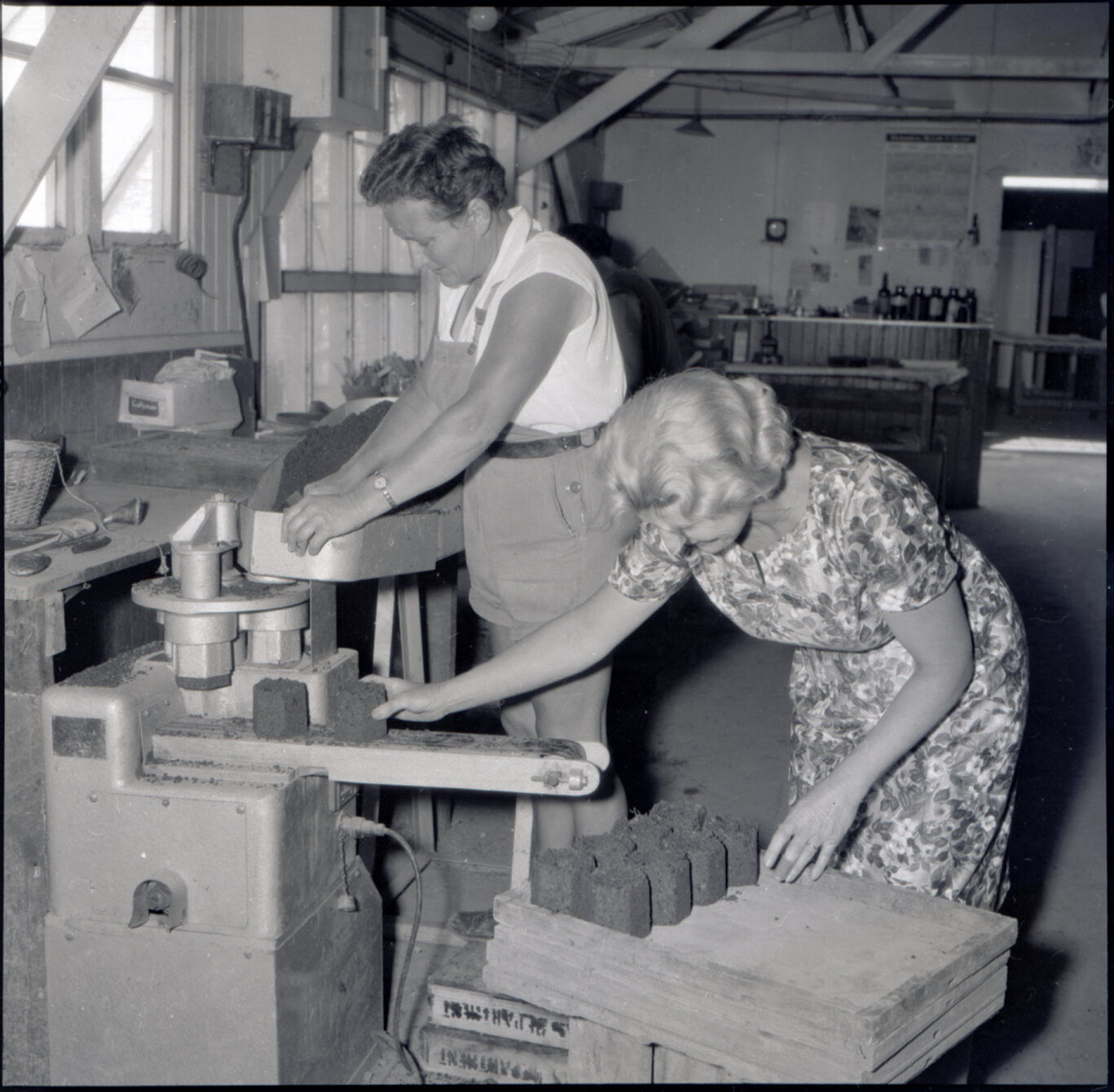 n. Berhampore Nursery, potting shed, staff potting seedlings