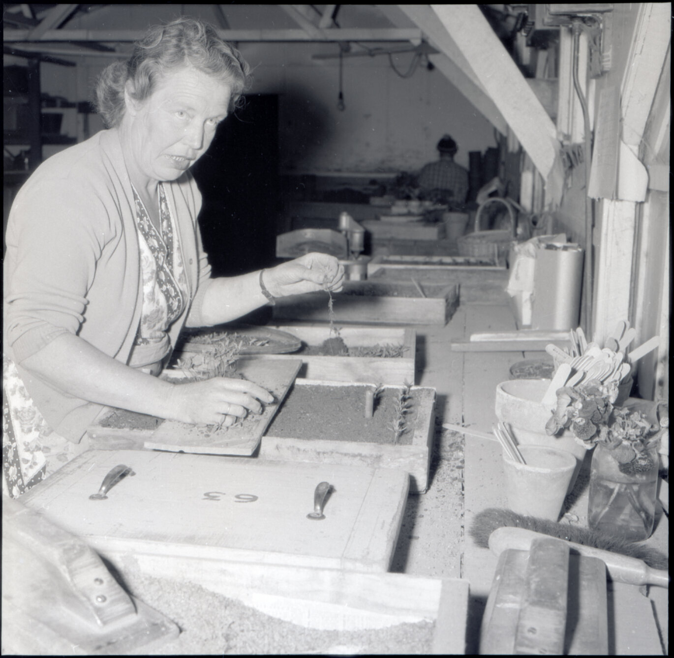 r. Berhampore Nursery, potting shed, staff potting seedlings