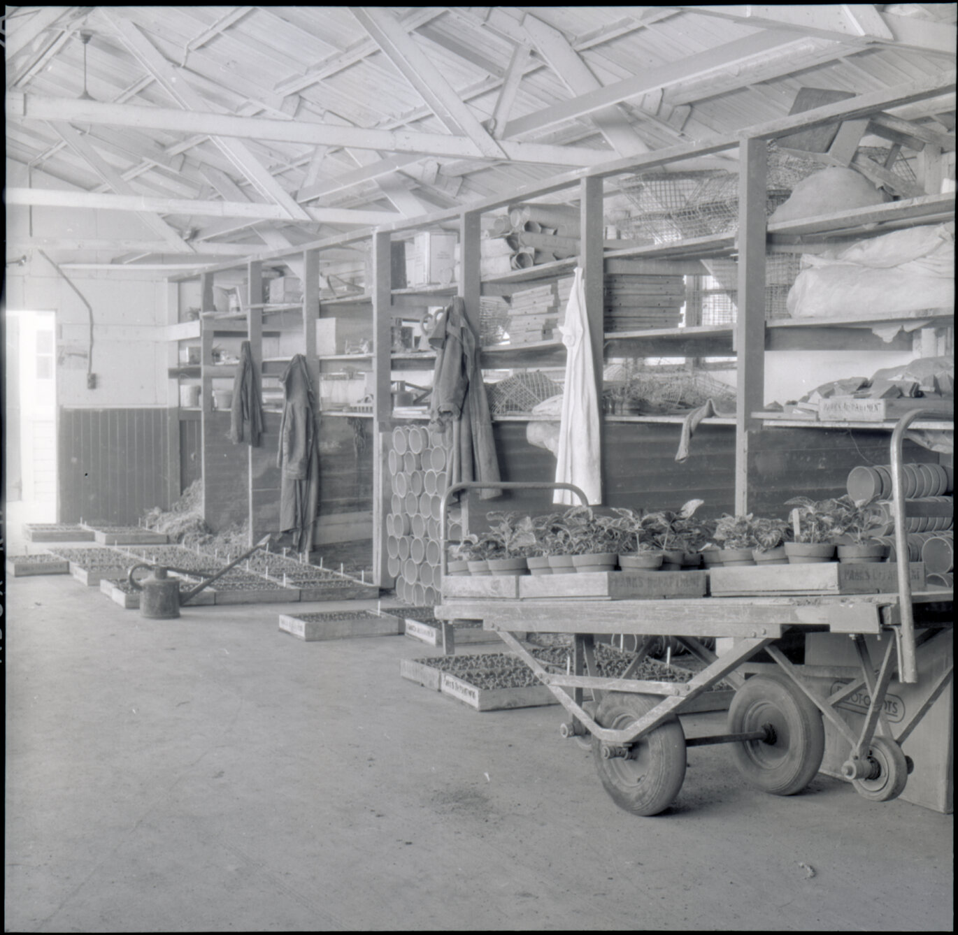g. Berhampore Nursery, potting shed