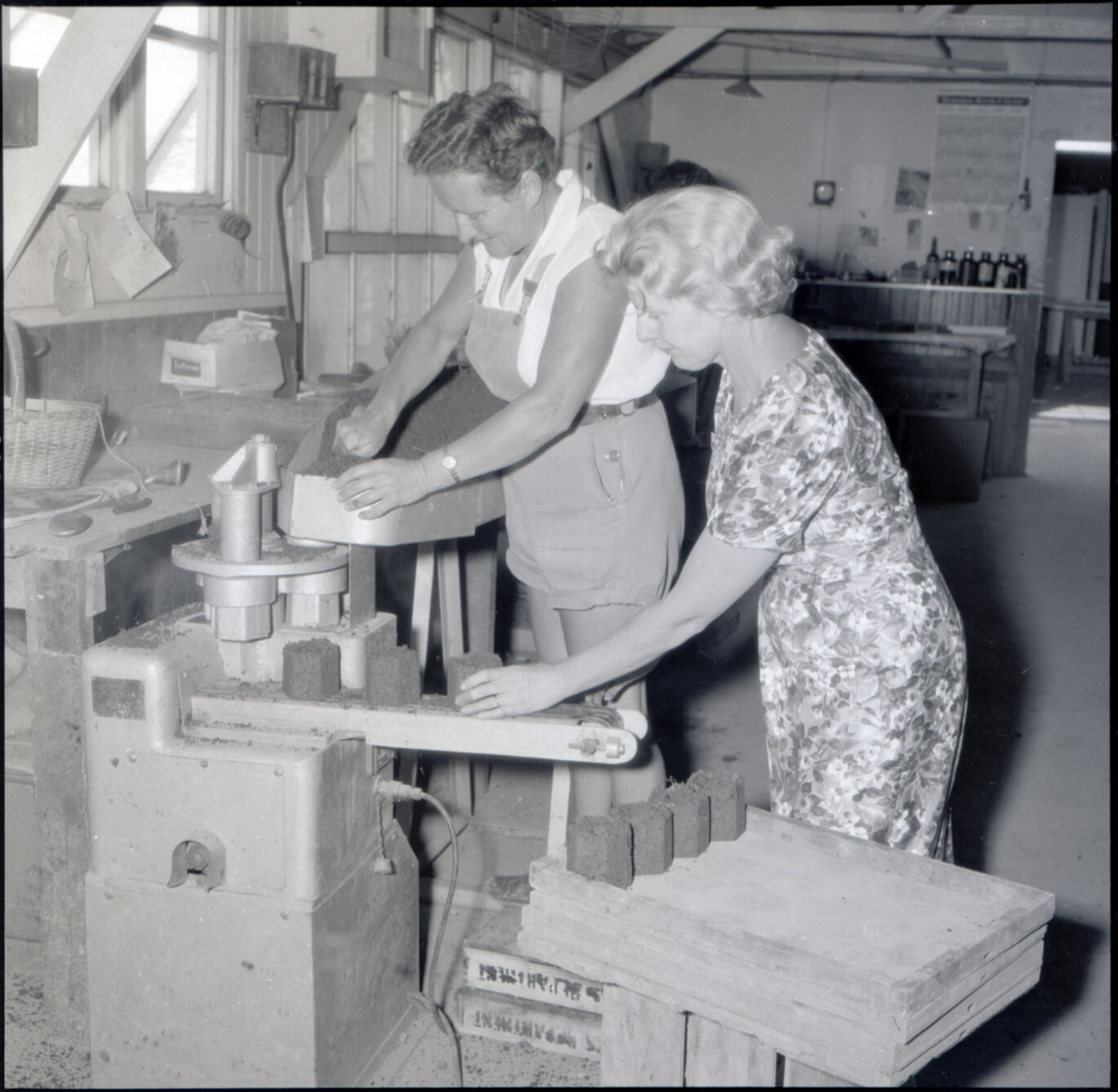 o. Berhampore Nursery, potting shed, staff potting seedlings