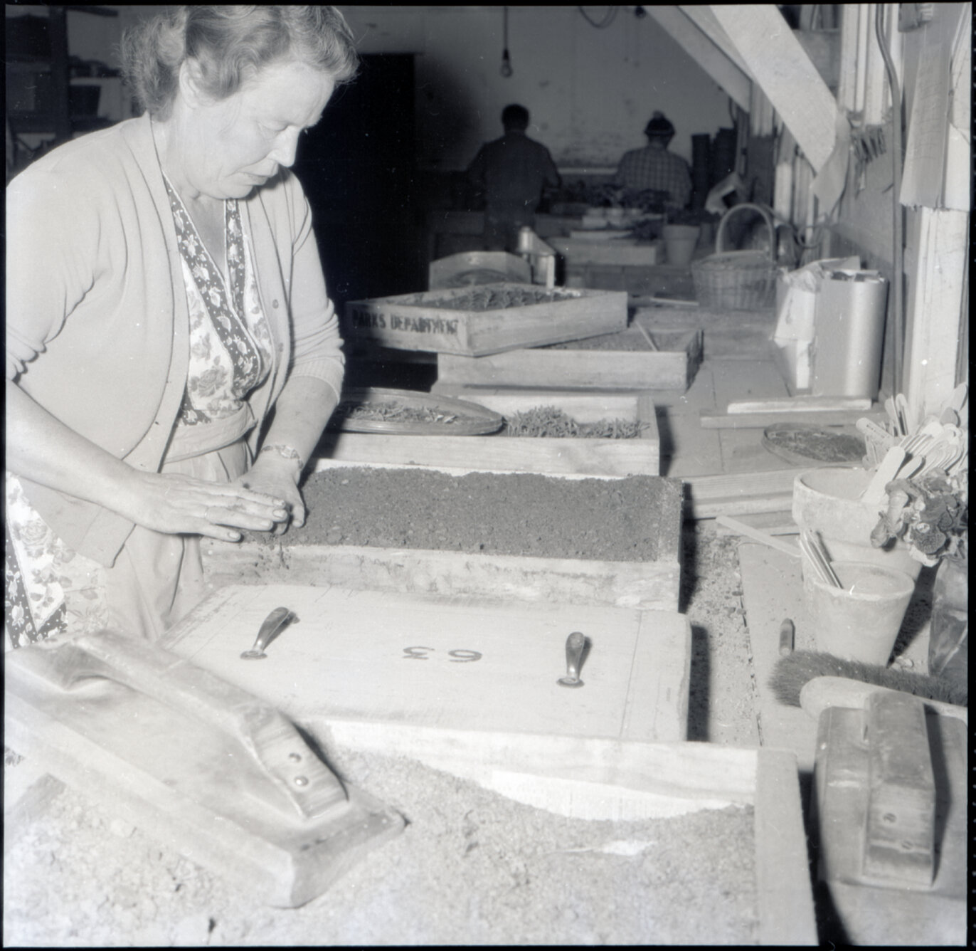 q. Berhampore Nursery, potting shed, staff potting seedlings