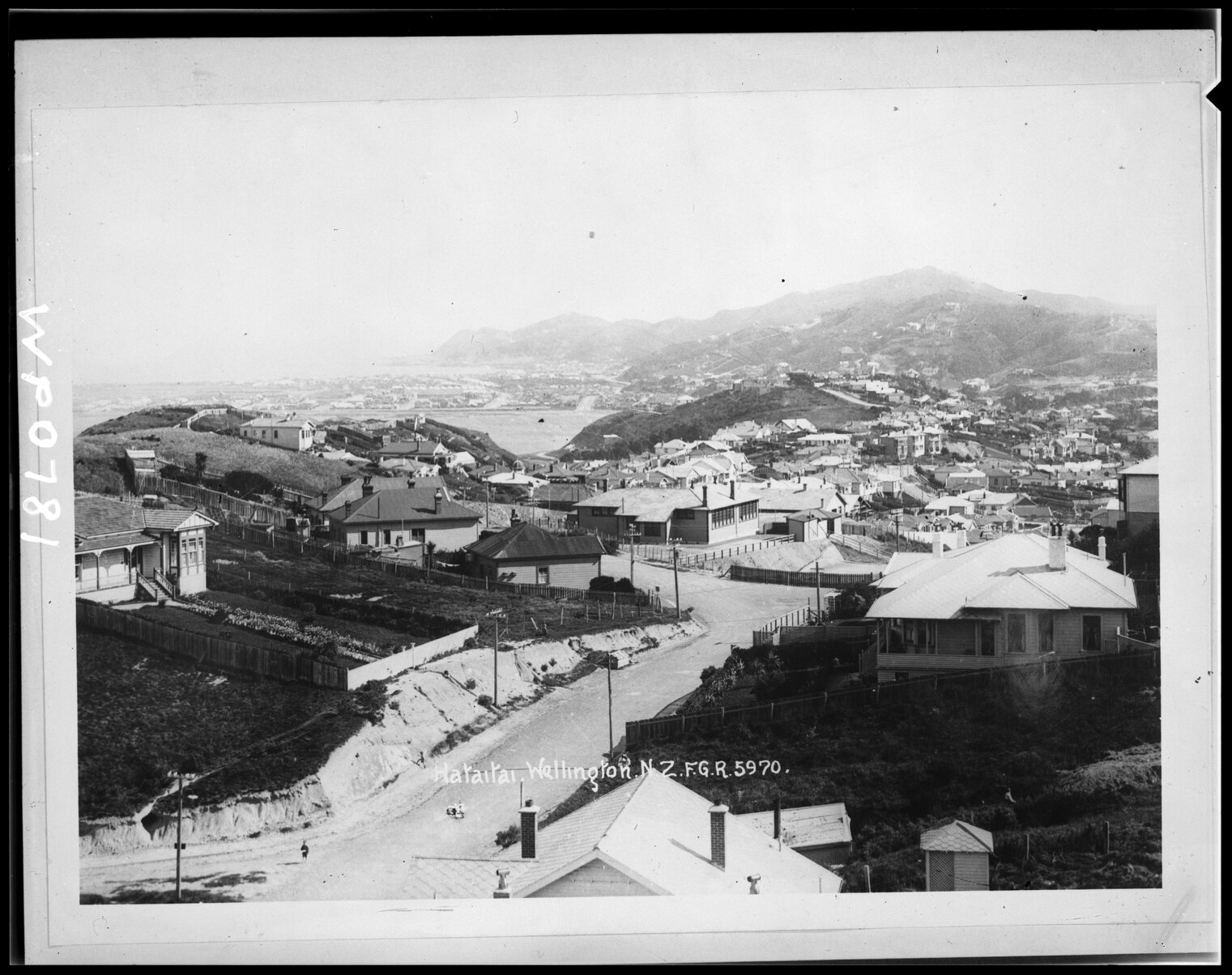 Elevated view of Hataitai. 5970