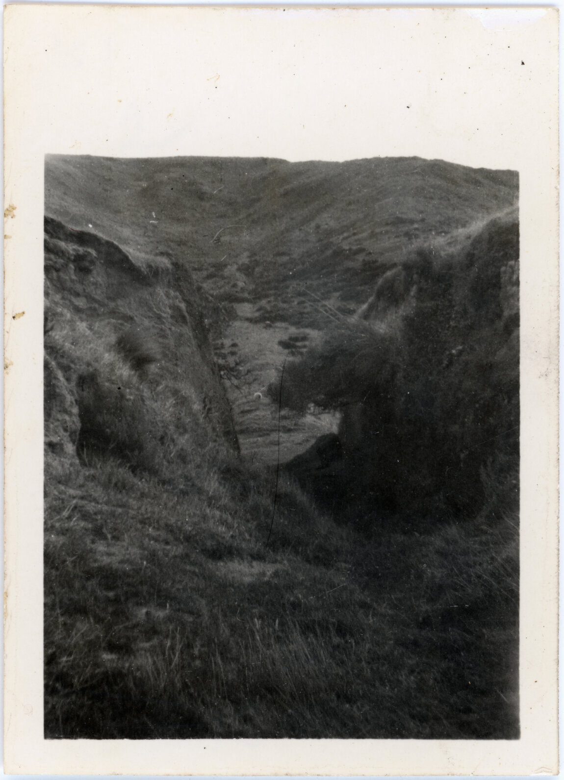 Albion Gold Mine, Black Gully, Makara