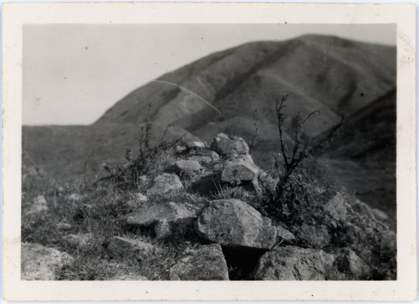 Albion Gold Mine, Black Gully, Makara