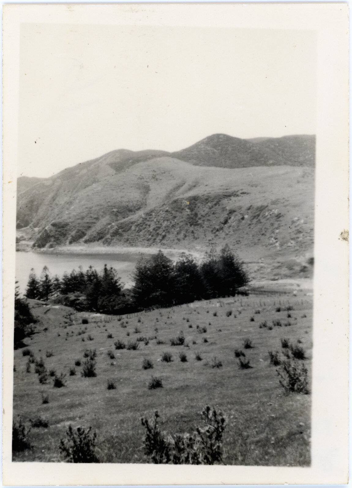 Māori Village, Te Ika-a-Maru Bay
