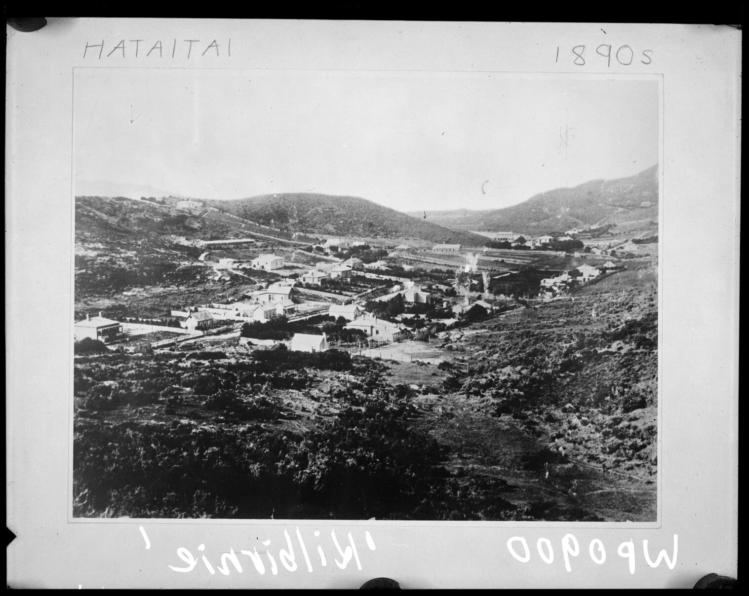 Elevated view of Moxham Avenue, Hataitai