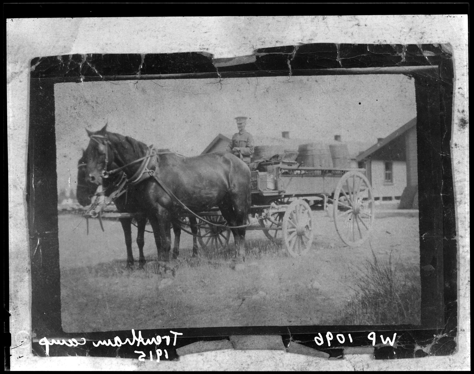 Horse and Cart, Trentham Military Camp