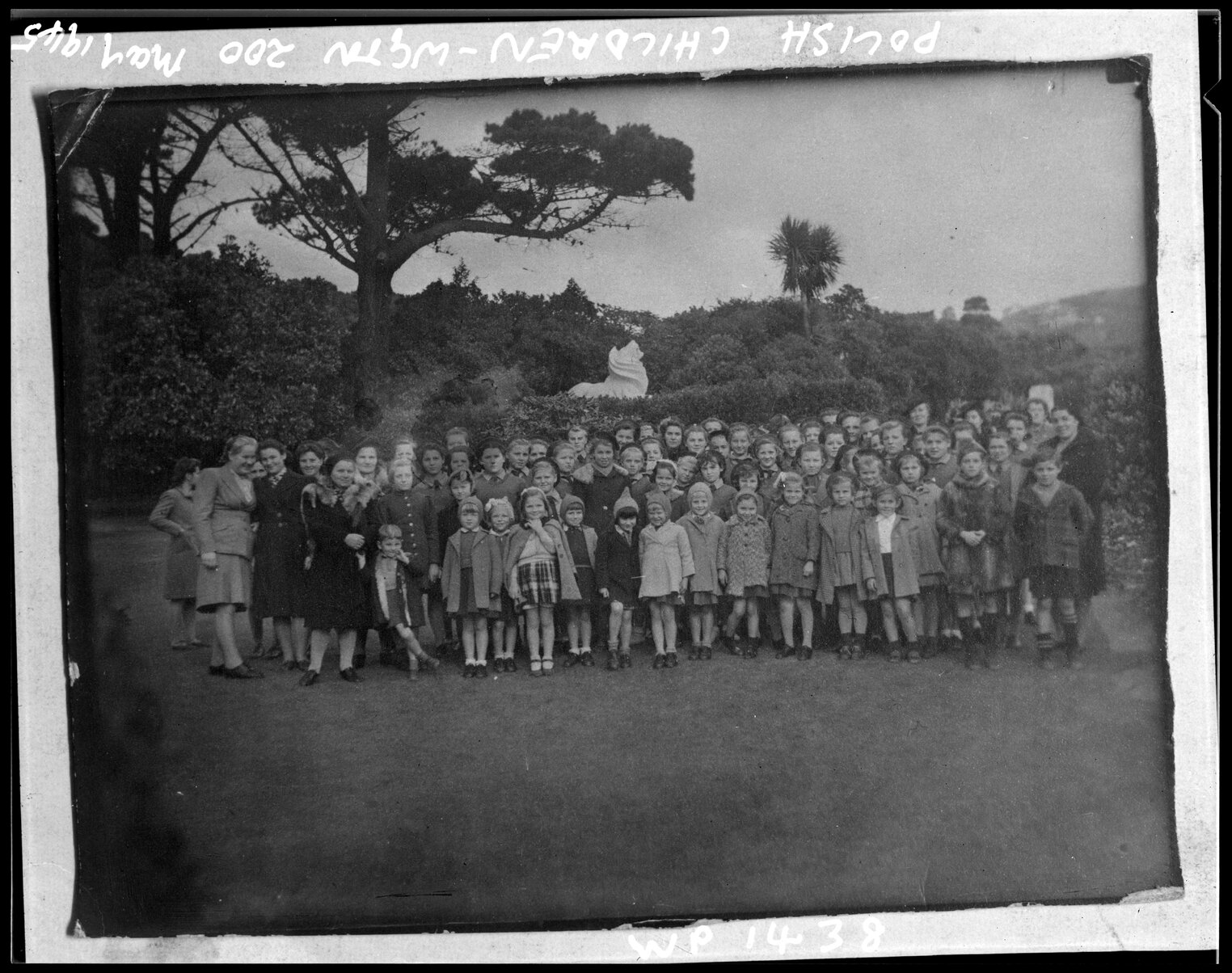 Polish Children visit Wellington Zoo