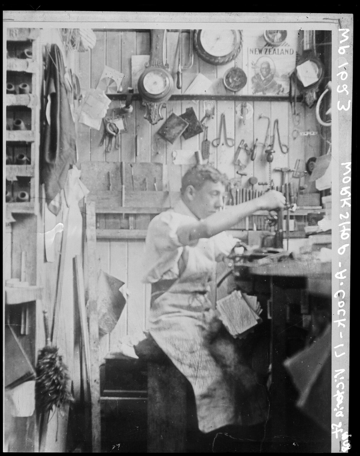 A Cocks, Optical Workshop, 17 Victoria Street