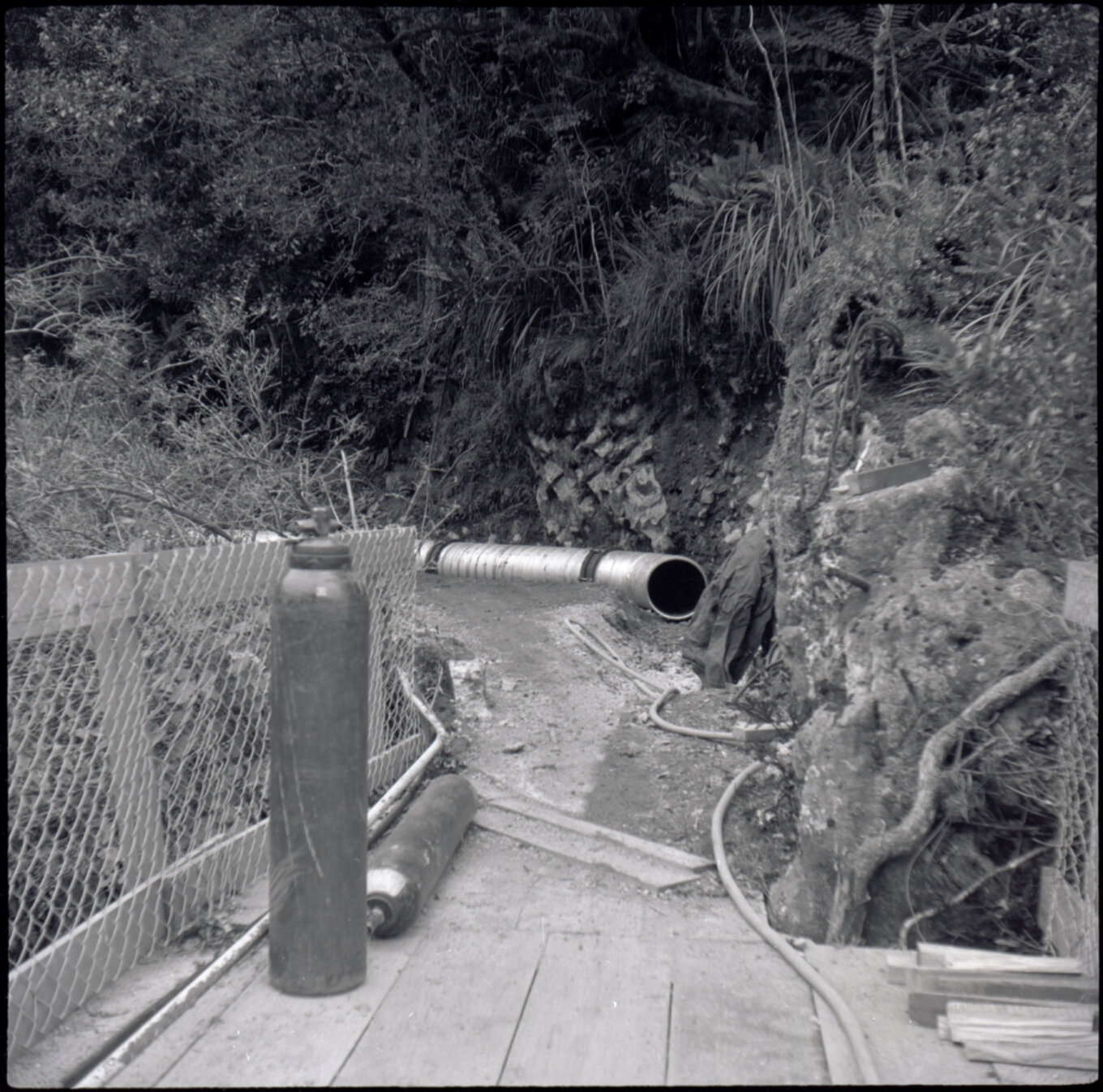 Orongorongo and Wainuiomata water catchment area, pipes from footbridge