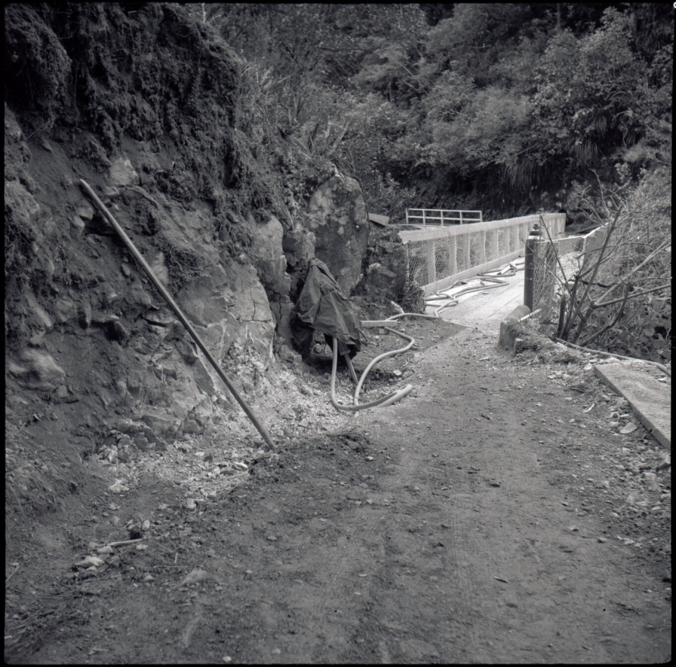 Orongorongo and Wainuiomata water catchment area, approach to footbridge