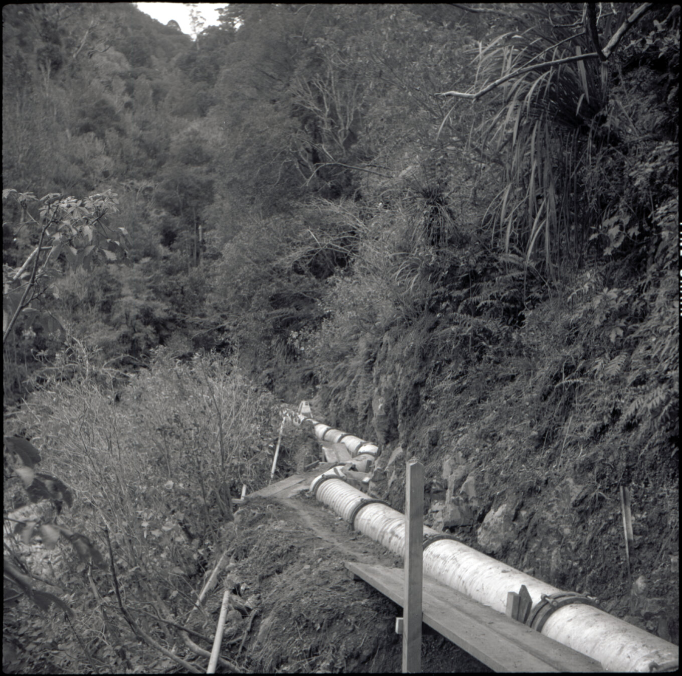 Orongorongo and Wainuiomata water catchment area, pipes