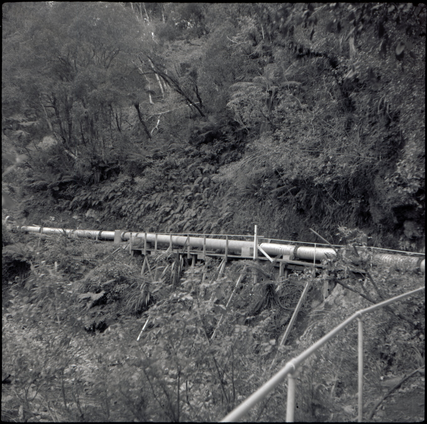 Orongorongo and Wainuiomata water catchment area, pipes