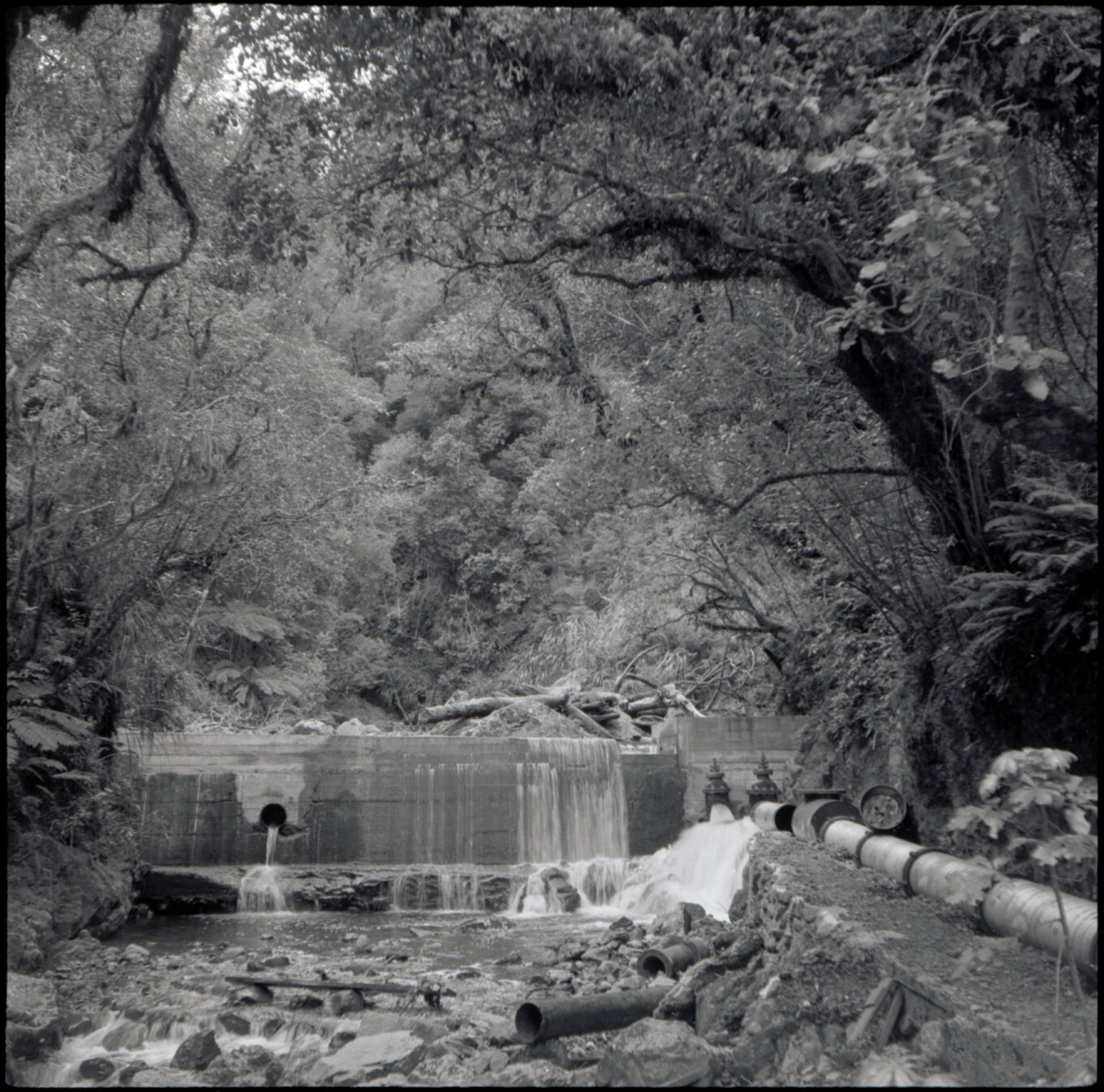 Orongorongo and Wainuiomata water catchment area, dam