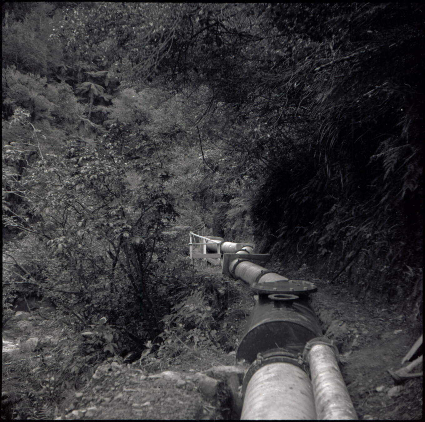 Orongorongo and Wainuiomata water catchment area, pipes