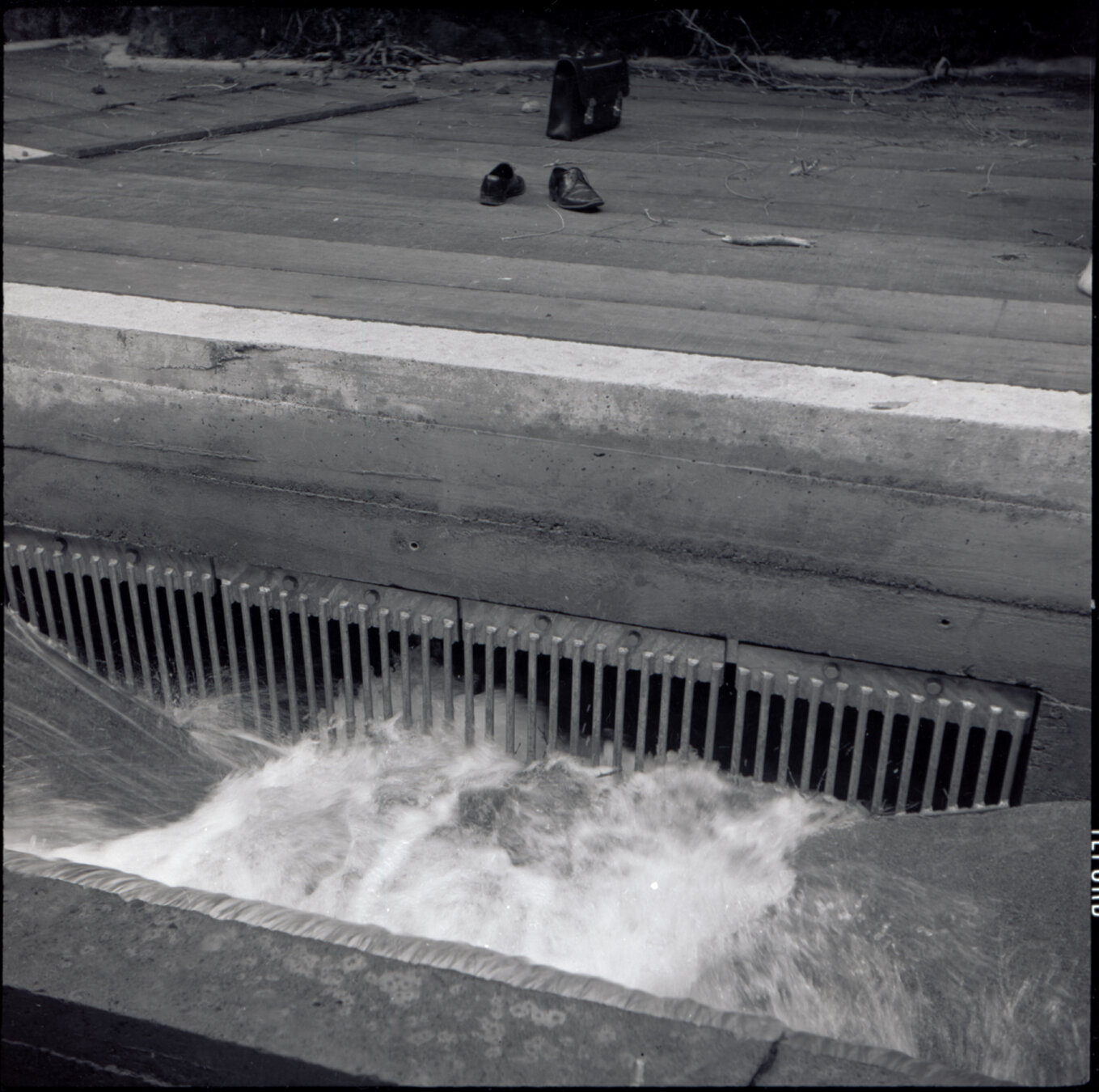Orongorongo and Wainuiomata water catchment area, water going into grates