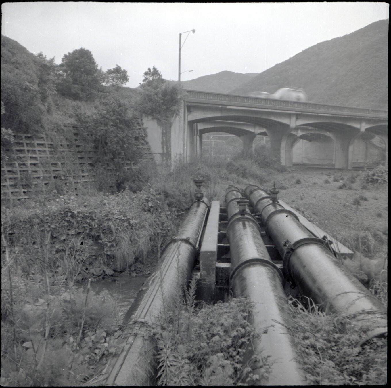 Orongorongo and Wainuiomata water catchment area, pipes going under a bridge