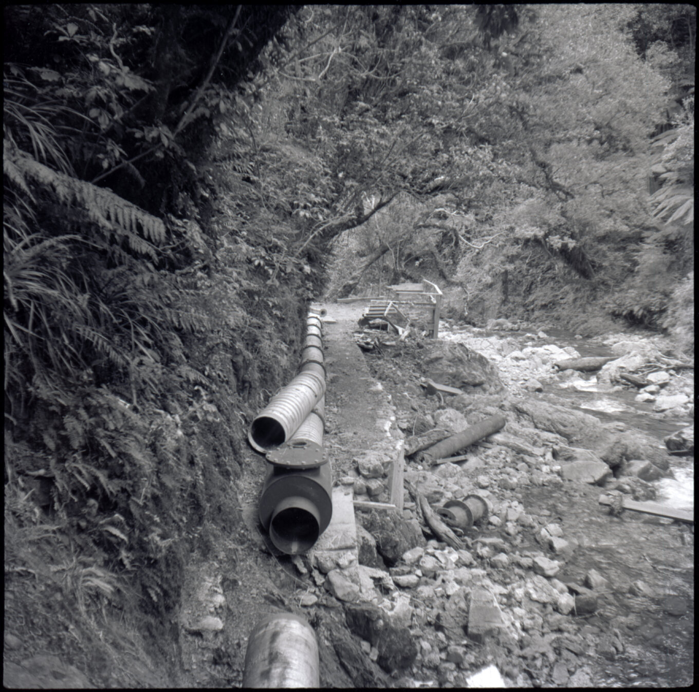 Orongorongo and Wainuiomata water catchment area, pipes next to a river