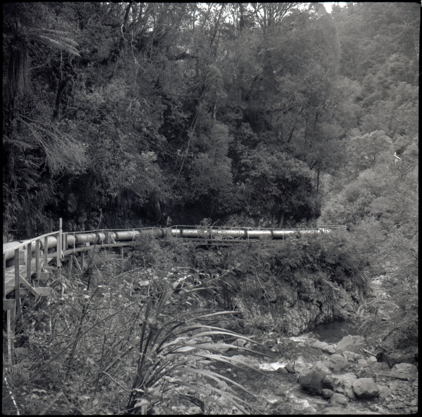 Orongorongo and Wainuiomata water catchment area, pipes next to a river