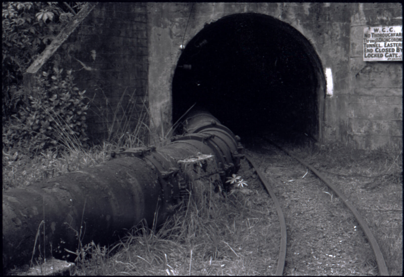 Orongorongo and Wainuiomata water catchment area, pipe going into Orongorongo tunnel