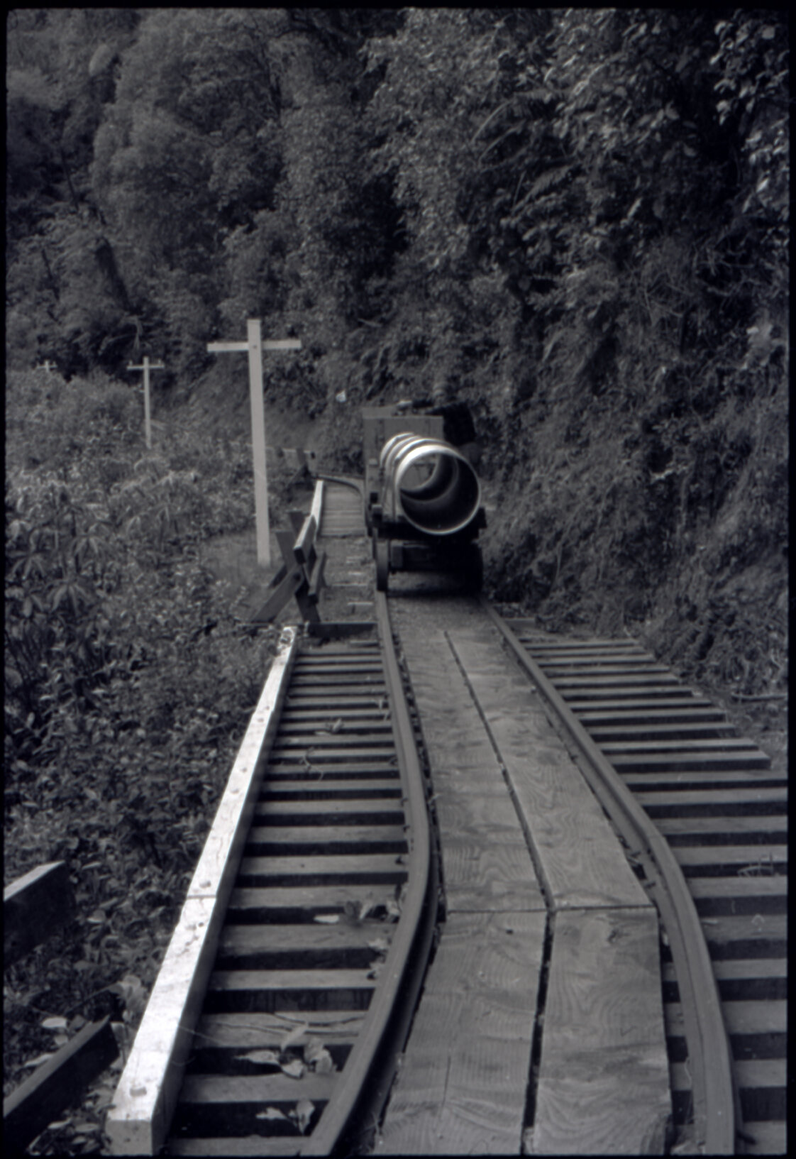 Orongorongo and Wainuiomata water catchment area, pipe on a track