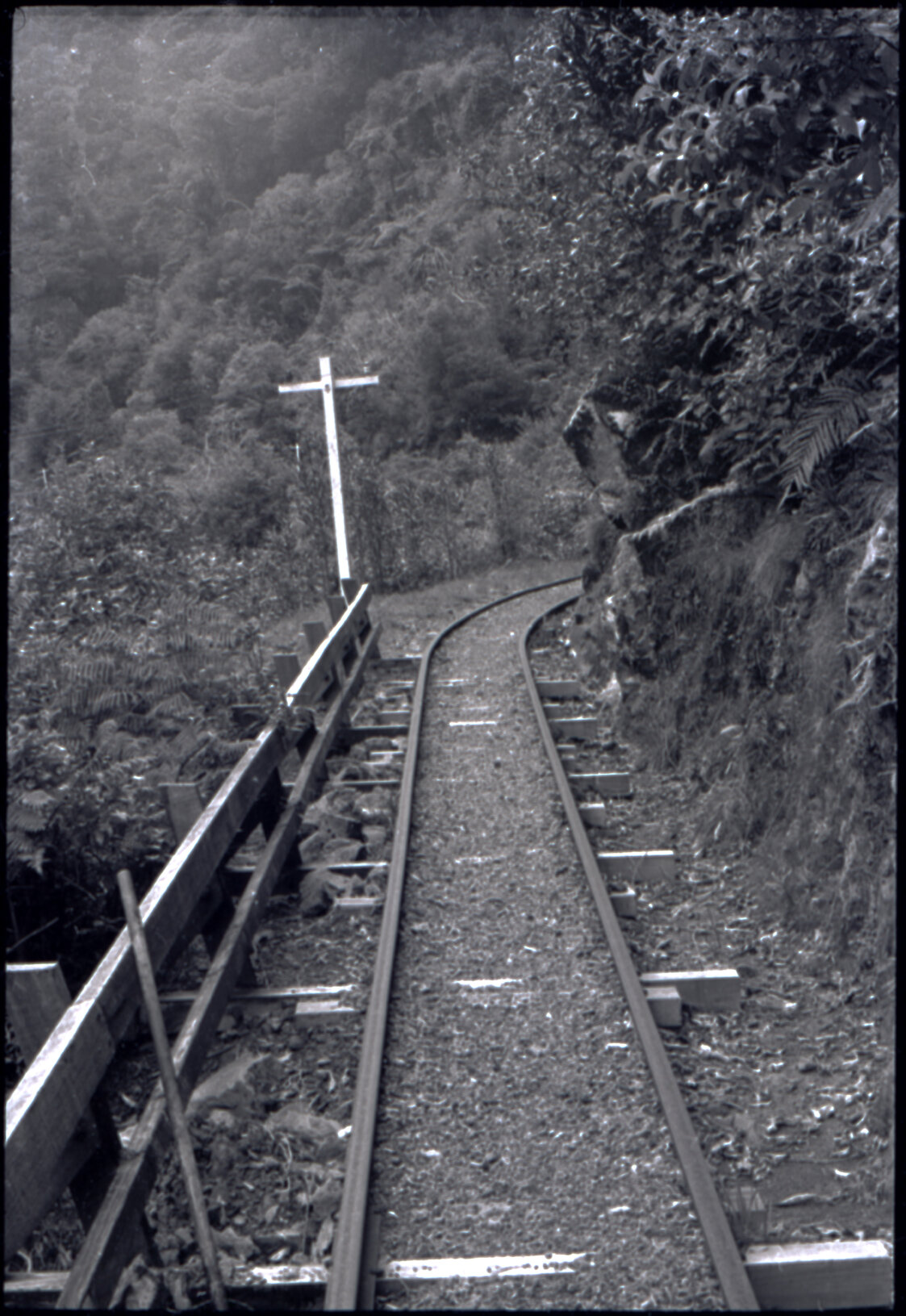 Orongorongo and Wainuiomata water catchment area, track to transport pipes