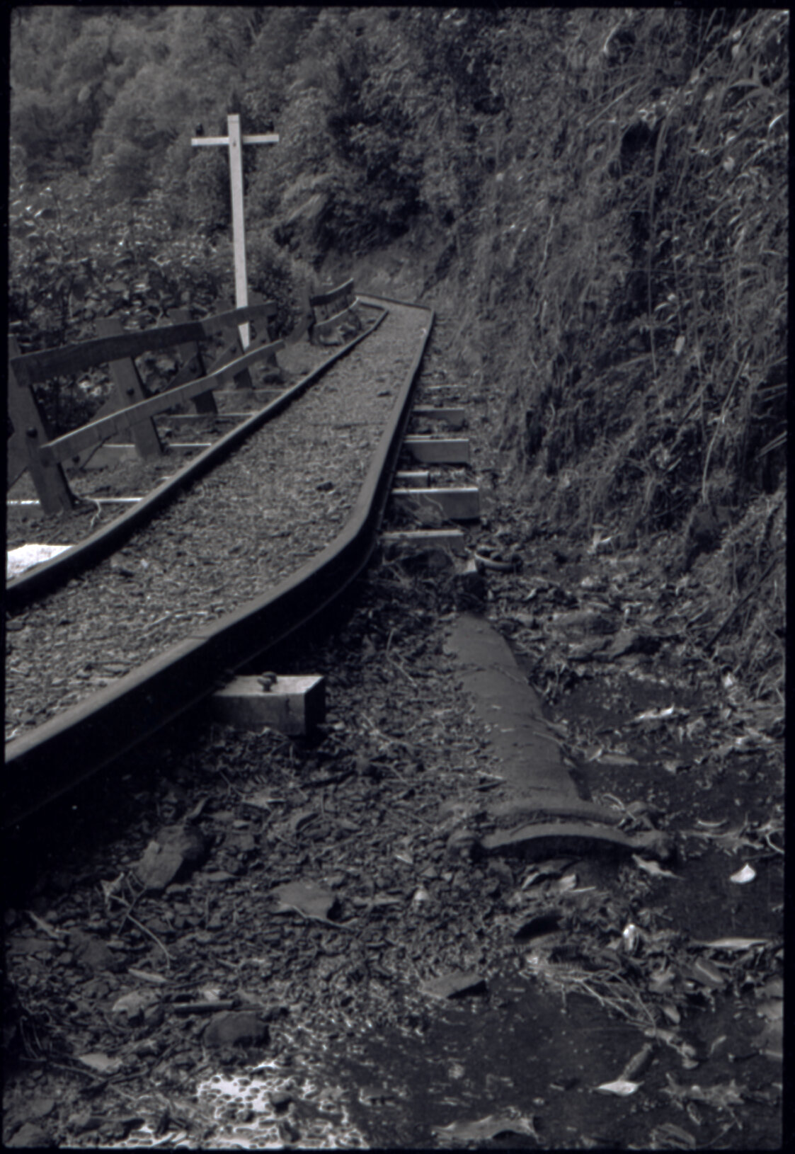 Orongorongo and Wainuiomata water catchment area, track to transport pipes